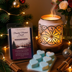 ❄️ Frosted Market Stroll | Holiday Market Collection Wax Melt