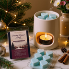 ❄️ Frosted Market Stroll | Holiday Market Collection Wax Melt